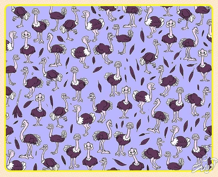 چند معمای تصویری برای آنهایی که توجه و دقت زیادی دارند